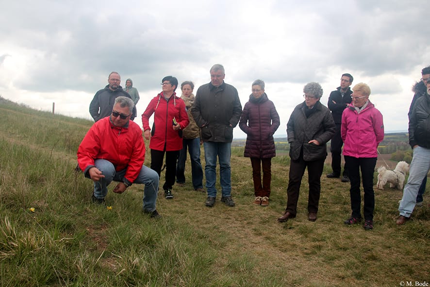 Wanderung durch den Geopark Harz