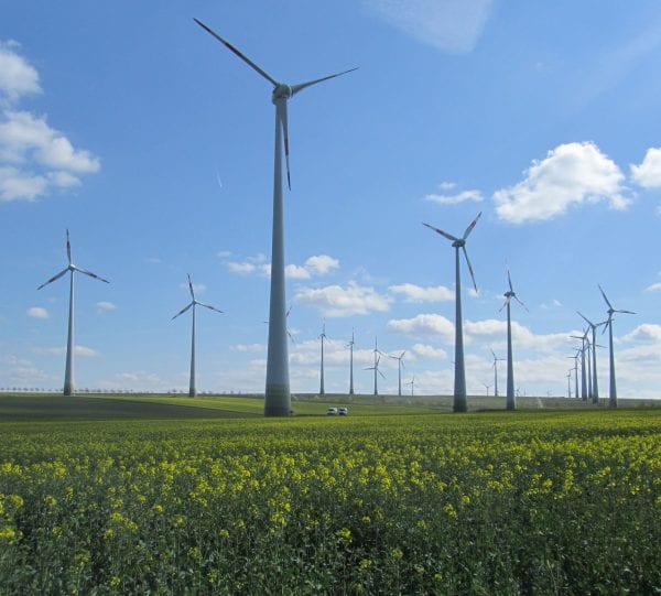 Windpark-Druiberg