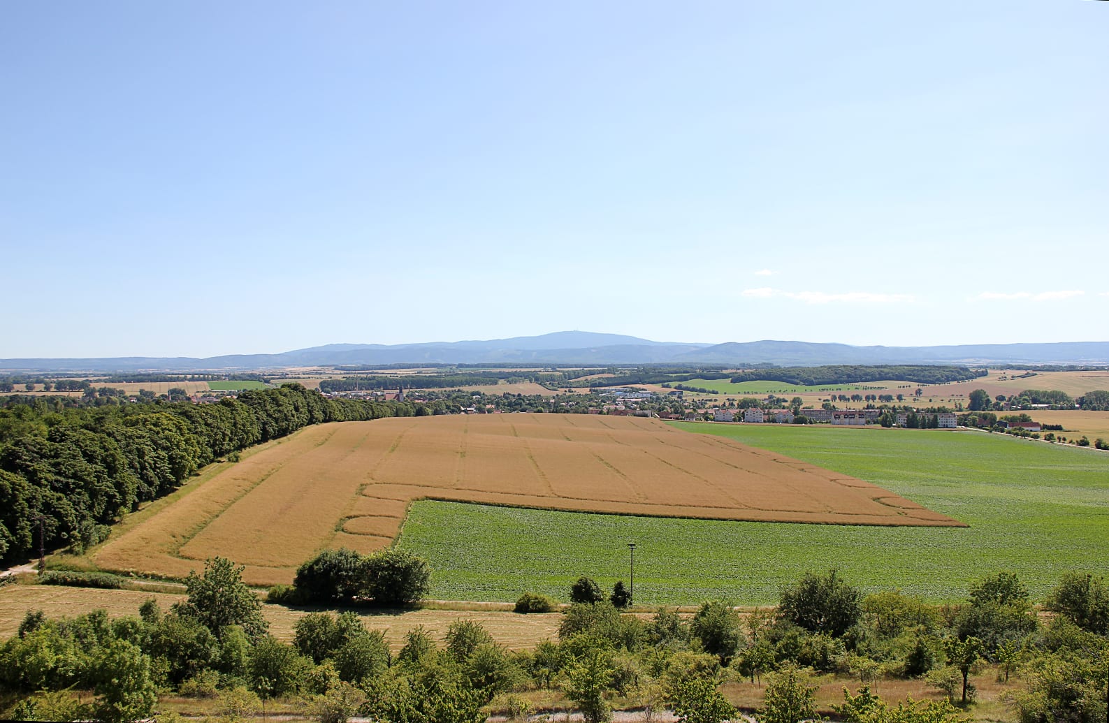 Die Landschaft von Fallstein & Huy