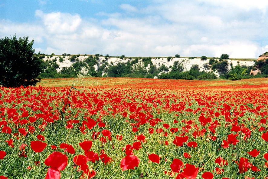 Großer Rundweg „Wandern verbindet“