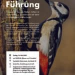 Vogelkundliche Führung – kostenlos