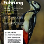 Vogelkundliche Führung – kostenlos