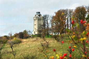 Kulinarische Führungen in Osterwieck