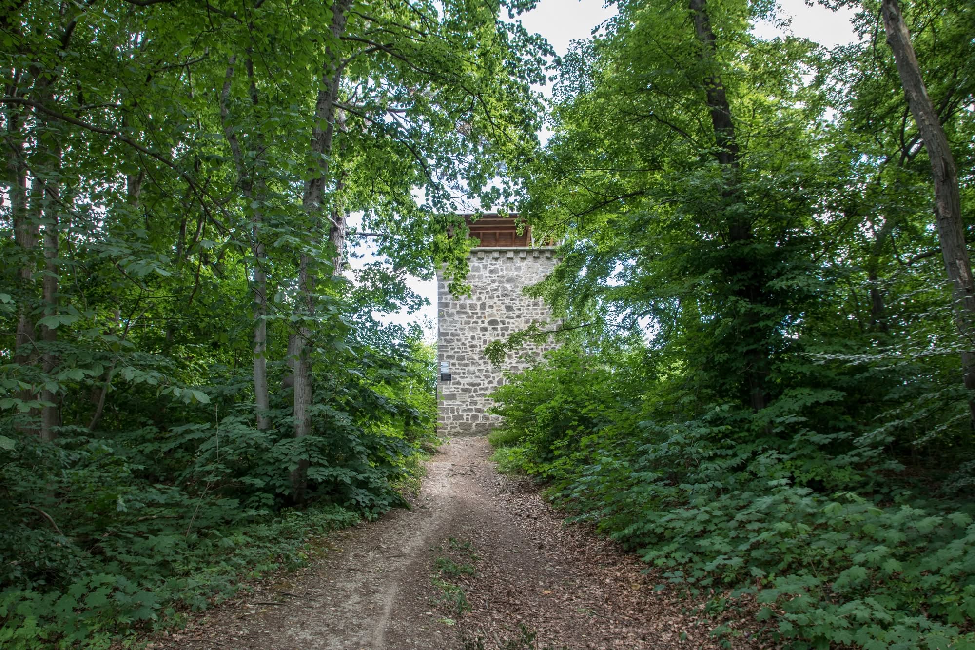 Wartenweg